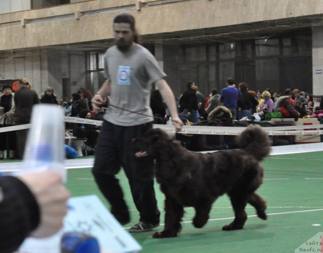 Фотография № 61209