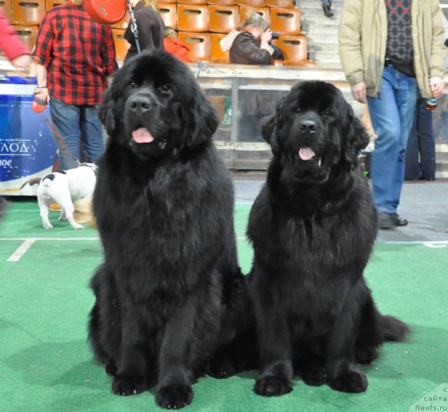 Фотография № 61211