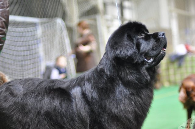 Фотография № 61230