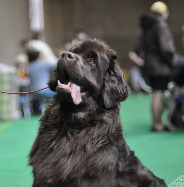 Фотография № 61241