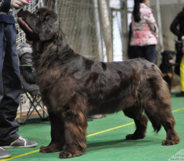 Фотография № 61242