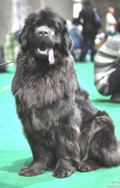 Фотография № 61245