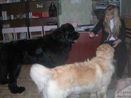 Фотография № 61272