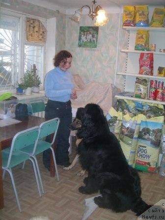 Фотография № 61273