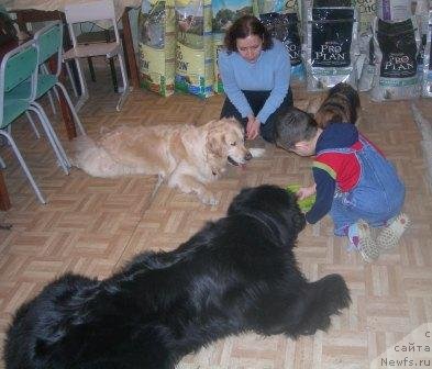 Фотография № 61274