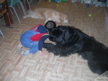 Фотография № 61277