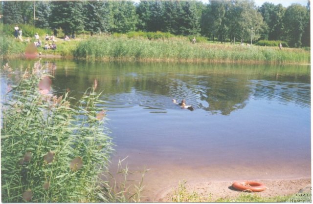 Фотография № 61326