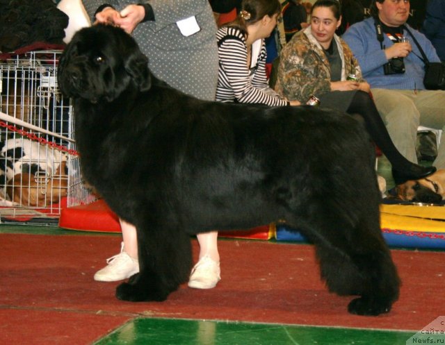 Фотография № 61332