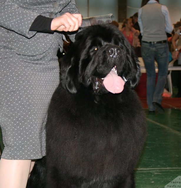 Фотография № 61333