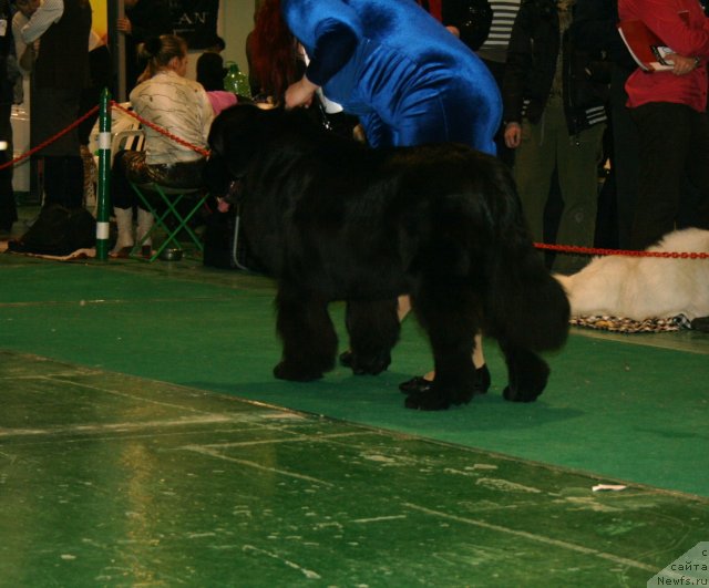 Фотография № 61335