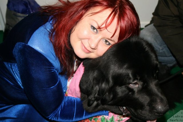 Фото: ньюфаундленд Potap YUniter (Потап Юнитер)