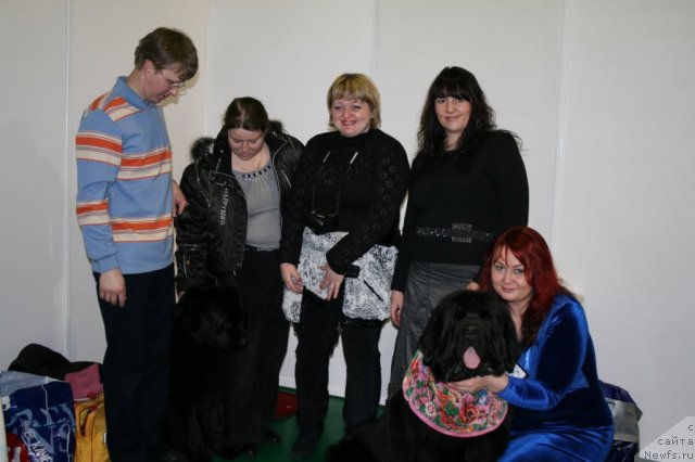 Фото: ньюфаундленд Potap YUniter (Потап Юнитер)