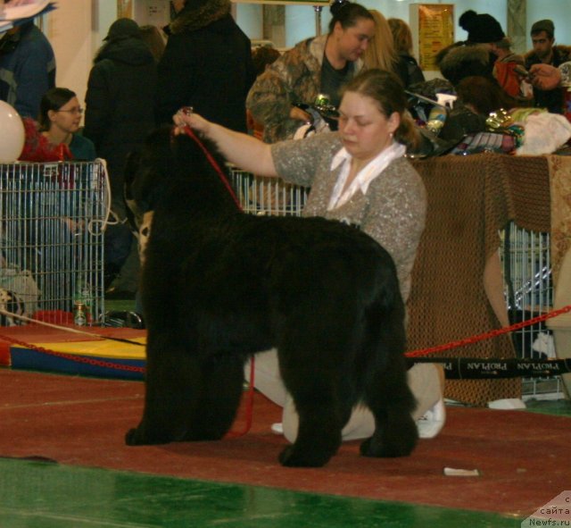 Фотография № 61362