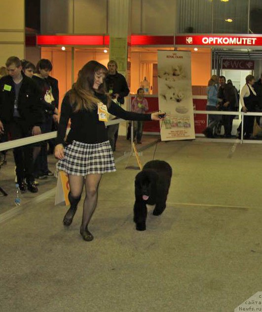 Фотография № 61363