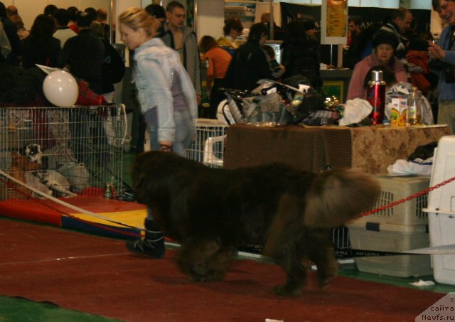 Фотография № 61364