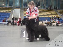 Фотография № 61372