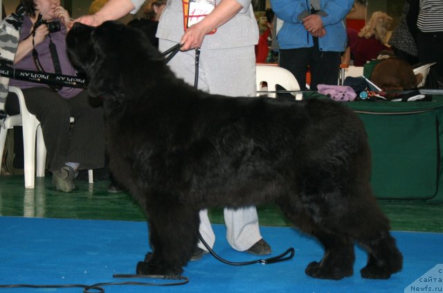 Фотография № 61375