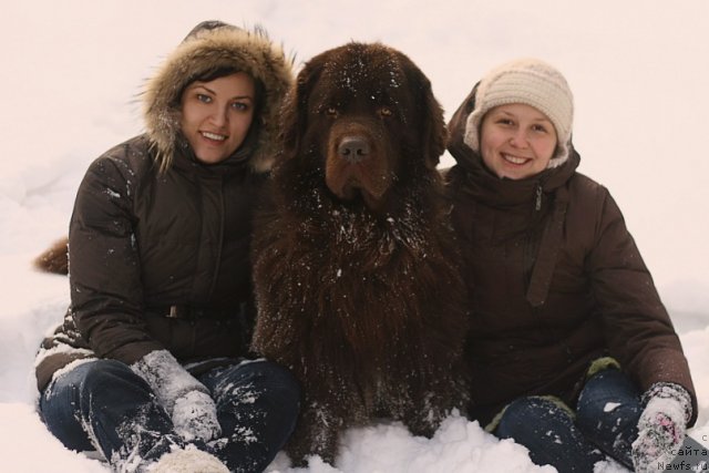 Фотография № 61434