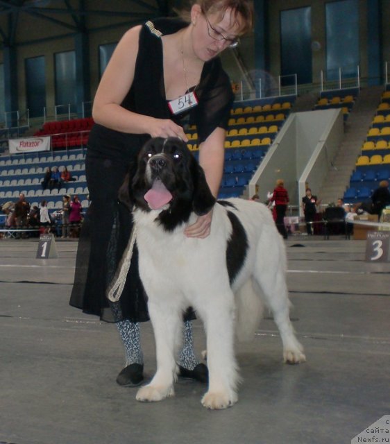 Фото: Ol'ga Trapeznikova (Ольга Трапезникова)