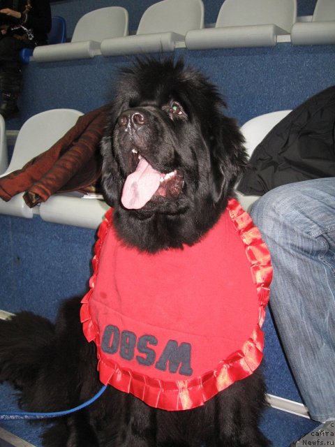 Фотография № 61455