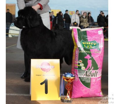 Фотография № 61468