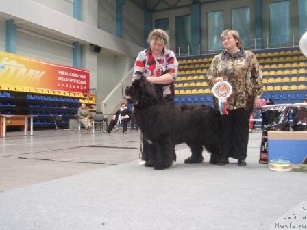 Фотография № 61470