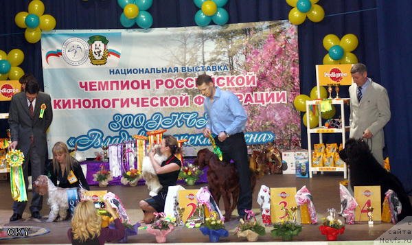 Фотография № 61471