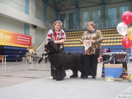 Фотография № 61472