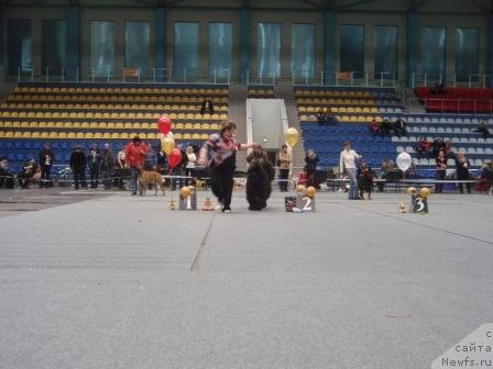 Фотография № 61475