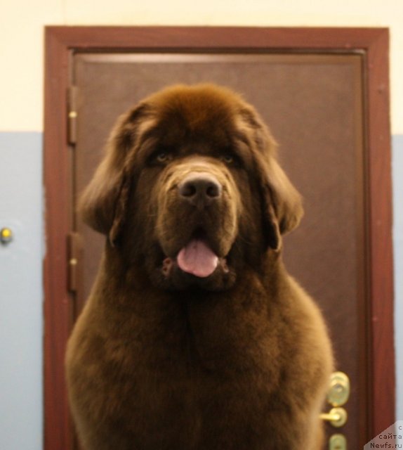 Фотография № 61498