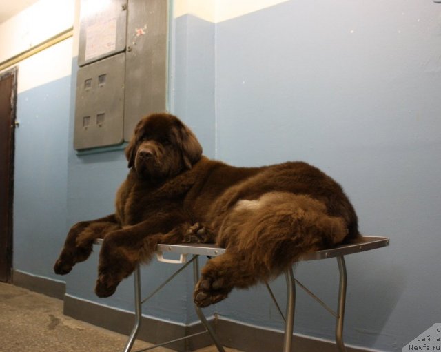 Фотография № 61499