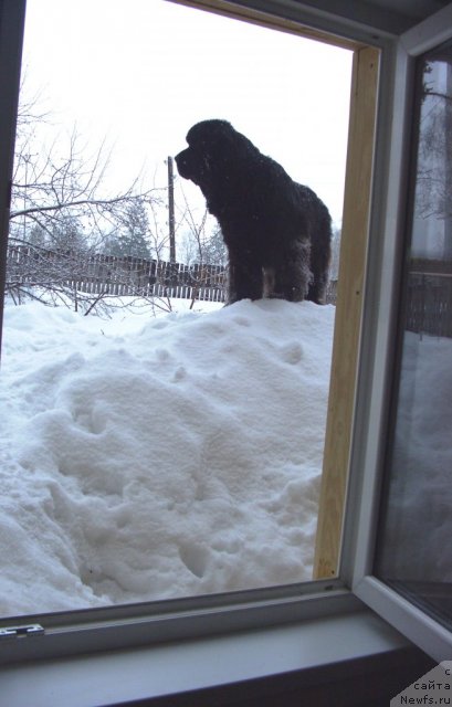 Фотография № 61542