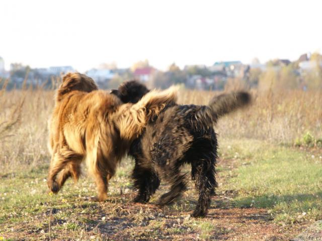 Фотография № 6163