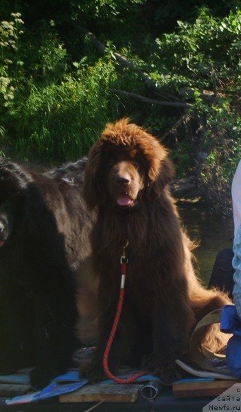 Фотография № 61632