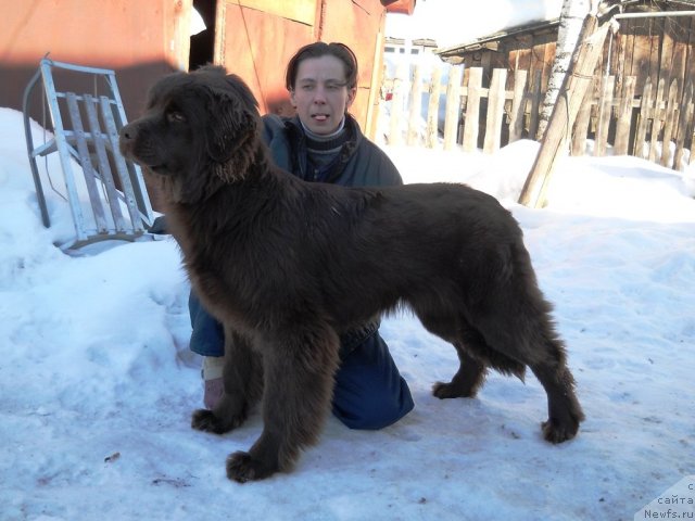 Фотография № 61641