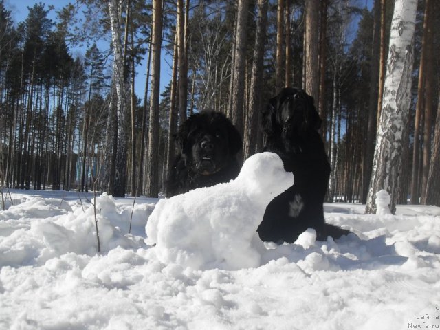 Фотография № 61645