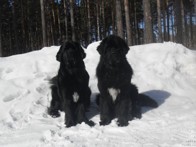 Фотография № 61646