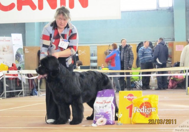 Фотография № 61883