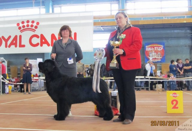 Фотография № 61891