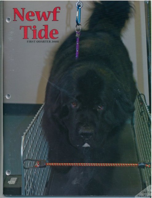 Фотография № 61916