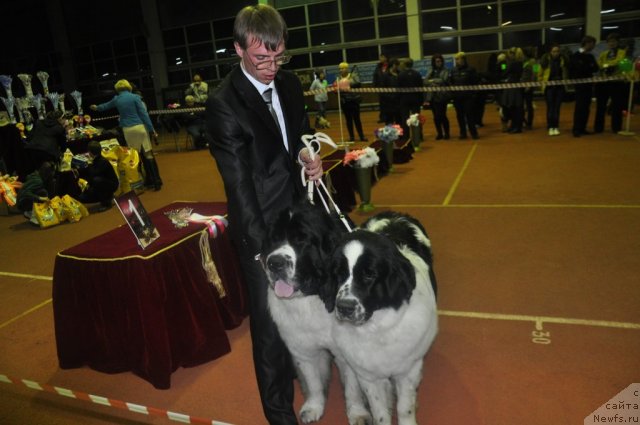 Фотография № 61922