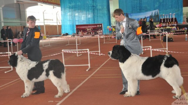 Фотография № 61933