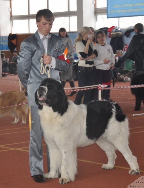 Фотография № 61934