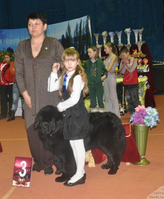 Фотография № 61937