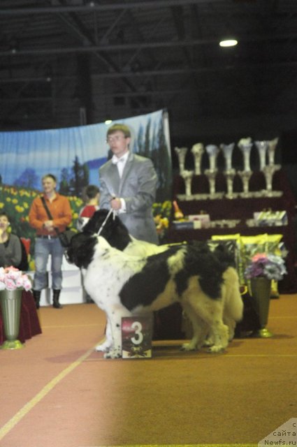 Фотография № 61940