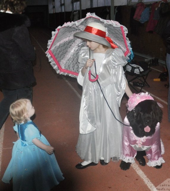 Фотография № 61942