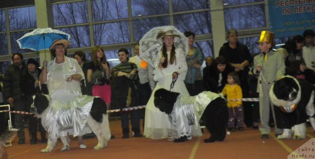 Фотография № 61943