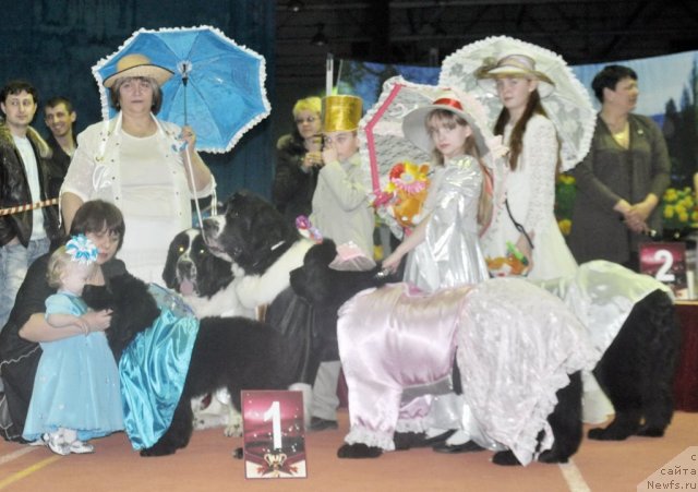 Фотография № 61944