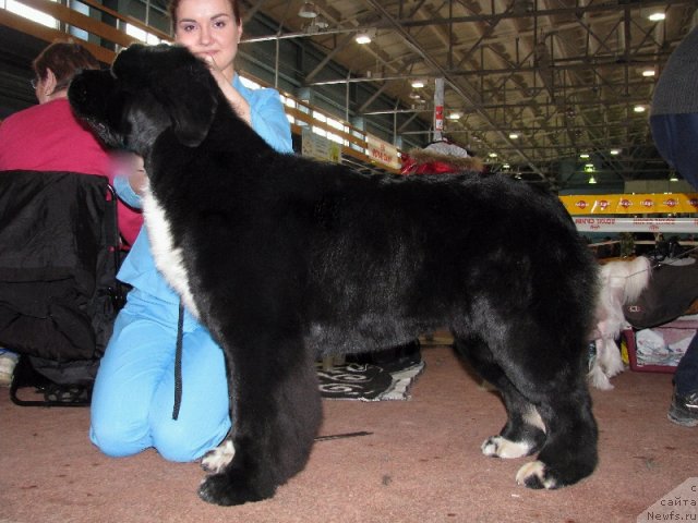 Фотография № 61974