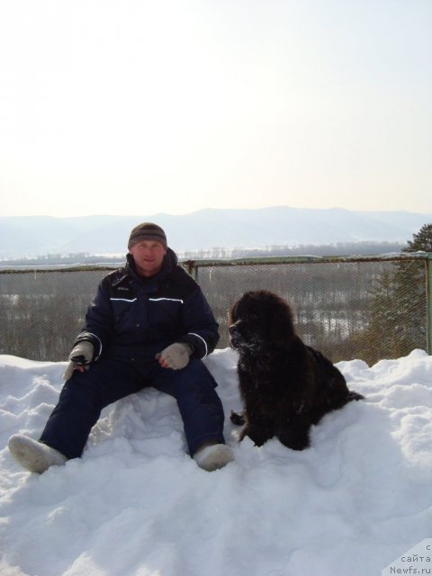 Фотография № 62001